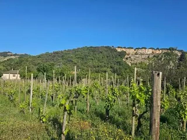 Maison vente à Tournon-sur-Rhône, Cornas