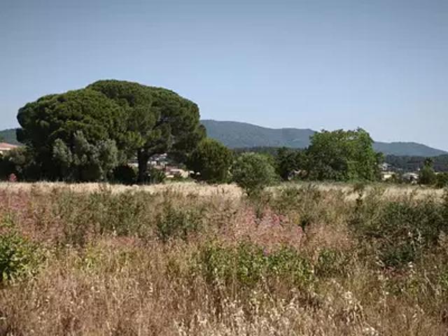 Maison vente à Arrondissement de Toulon, Cuers