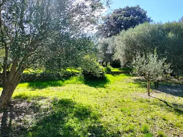 Maison vente à Arrondissement de Draguignan, Draguignan