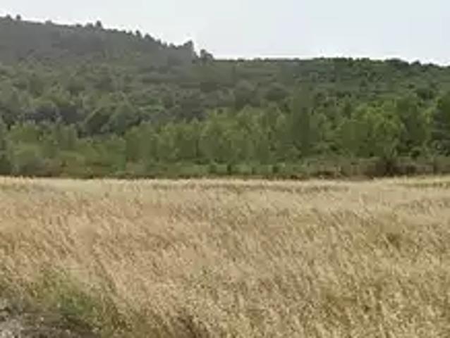 Maison vente à Embres-et-Castelmaure, Aude