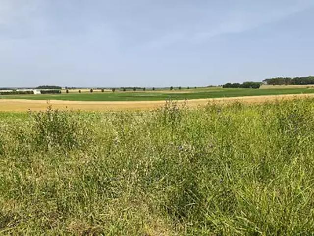 Maison vente à Rochefort, Etaules