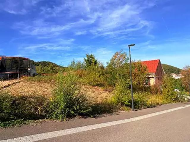 Maison vente à Altkirch, Ferrette
