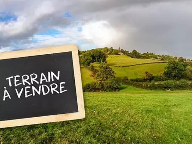 Maison vente à Dieppe, Flocques