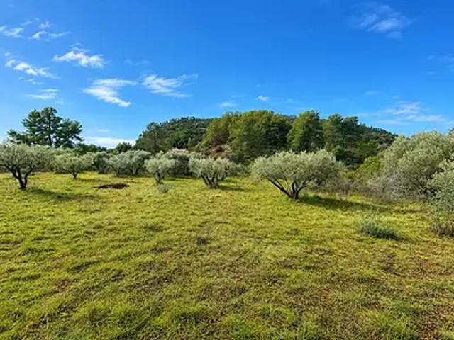 Maison vente à Gonfaron, Var