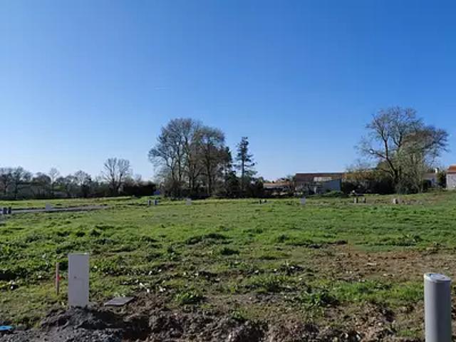 Maison vente à Fontenay-le-Comte, Grues