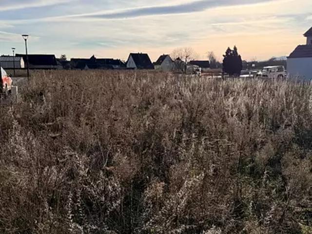 Maison vente à Colmar-Ribeauvillé, Houssen