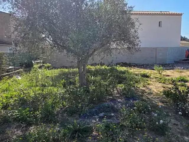 Maison vente à Arrondissement de Toulon, La Crau