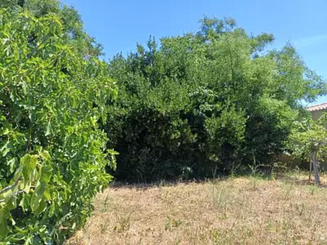 Maison vente à Arrondissement de Toulon, La Crau