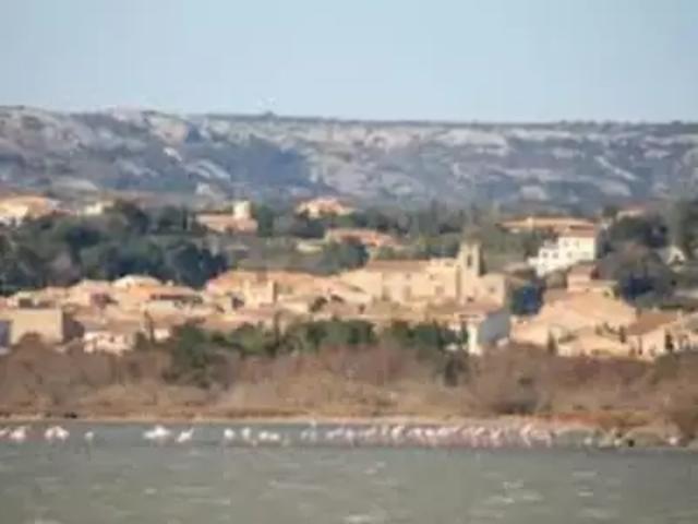Maison vente à Narbonne, La Palme