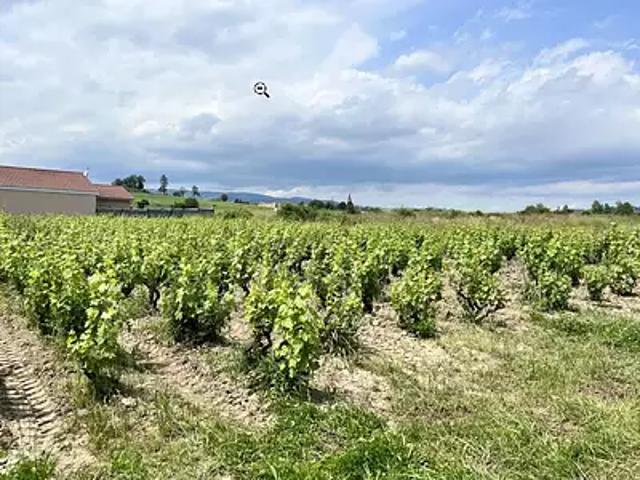 Maison vente à Villefranche-sur-Saône, Rhône