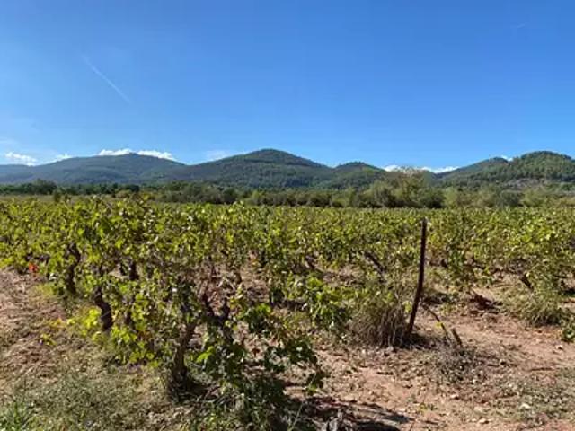 Maison vente à Arrondissement de Toulon, Le Castellet