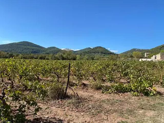 Maison vente à Arrondissement de Toulon, Le Castellet