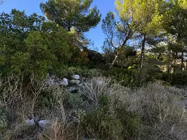 Maison vente à Brignoles, Le Luc