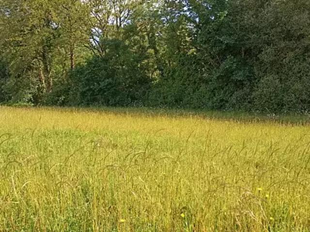 Maison vente à La Roche-sur-Yon, Les Brouzils