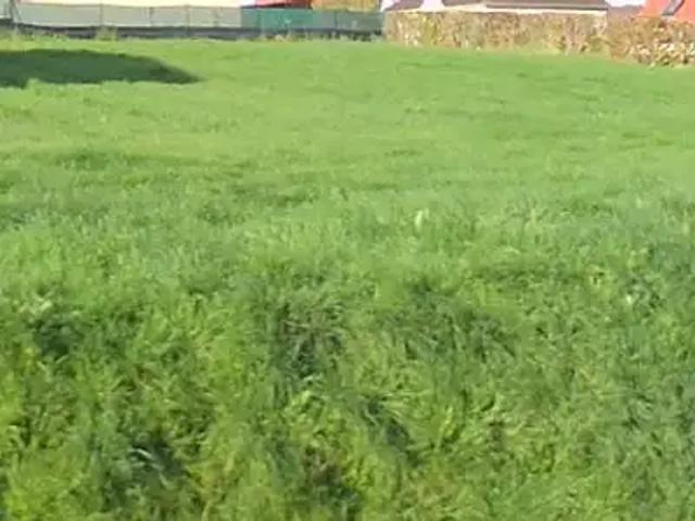 Maison vente à Dieppe, Londinières