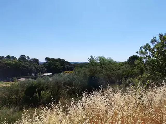 Maison vente à Arrondissement de Draguignan, Lorgues