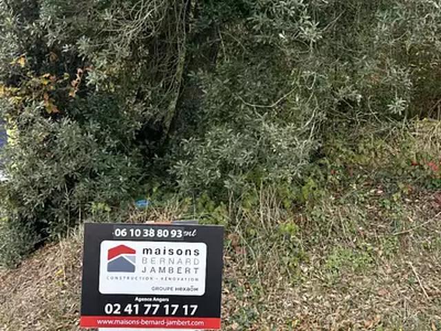 Maison vente à Saumur, Mazé