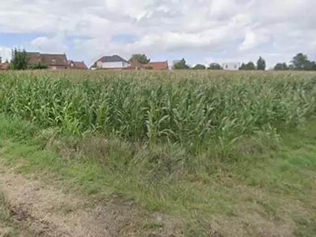 Maison vente à Lille, Moncheaux