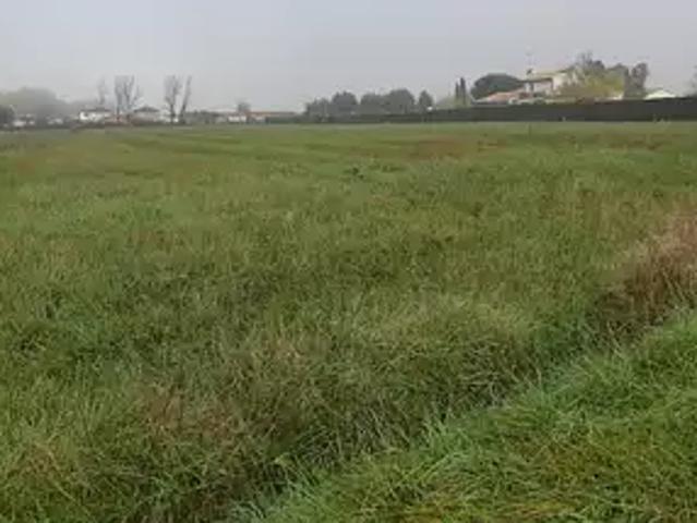 Maison vente à Montauban, Nohic