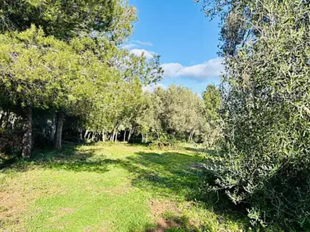 Maison vente à Arrondissement de Toulon, Ollioules