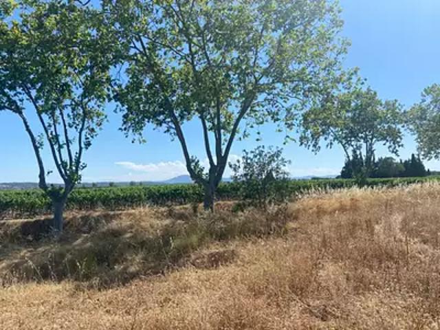 Maison vente à Béziers, Olonzac
