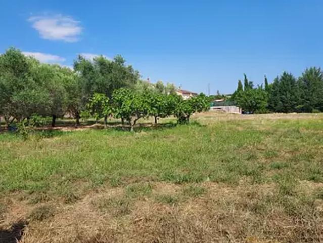 Maison vente à Arrondissement de Draguignan, Puget-sur-argens