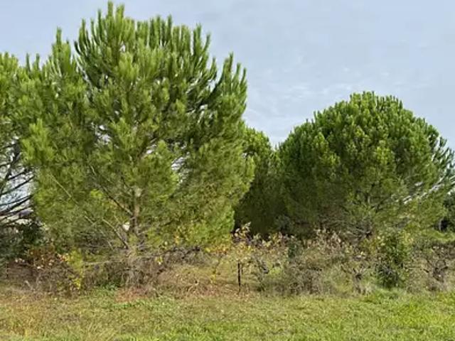 Maison vente à Nîmes, Saint-victor-la-coste