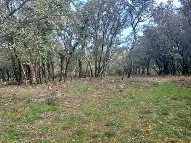 Maison vente à Sainte-Anastasie-sur-Issole, Var