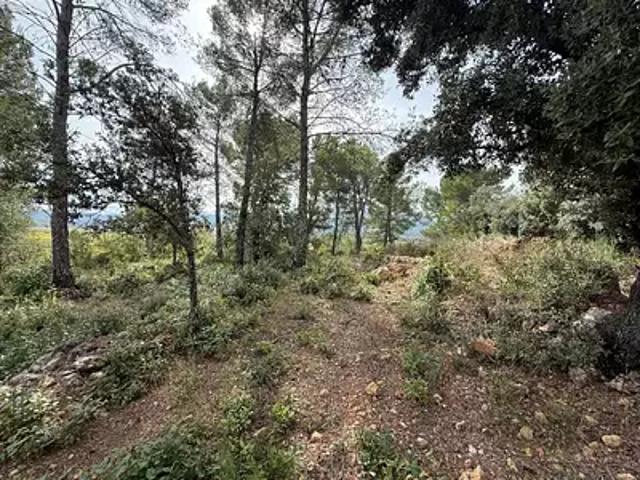 Maison vente à Arrondissement de Toulon, Solliès-toucas