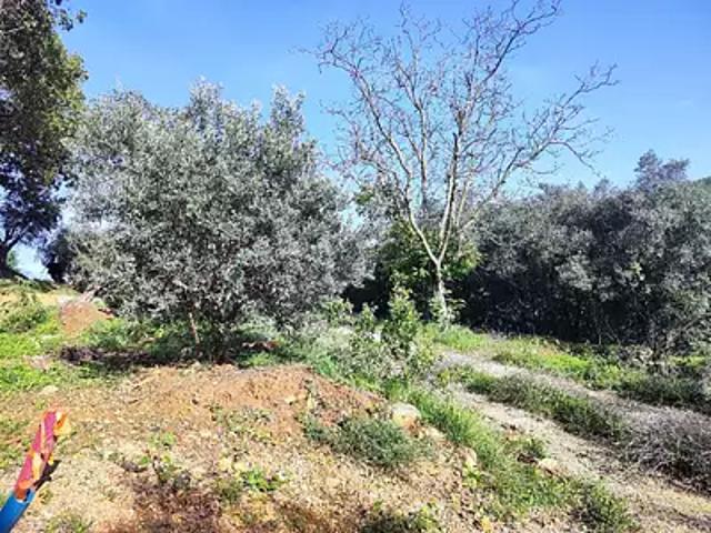 Maison vente à Arrondissement de Toulon, Solliès-toucas