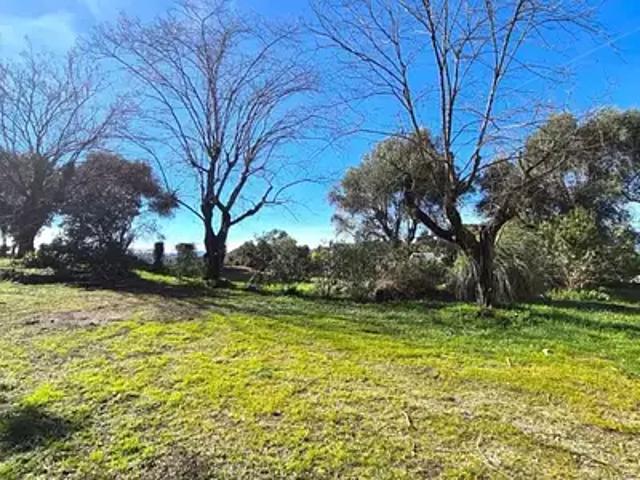 Maison vente à Arrondissement de Draguignan, Tanneron
