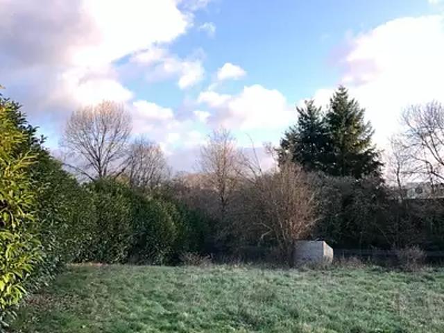 Maison vente à Le Mans, Teloché