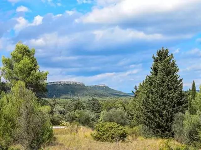 Maison vente à Lodève, Valflaunès