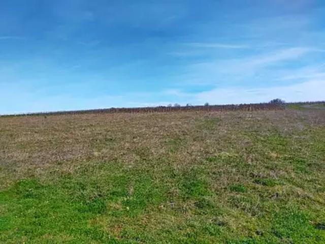 Maison vente à Cognac, Nouvelle-Aquitaine