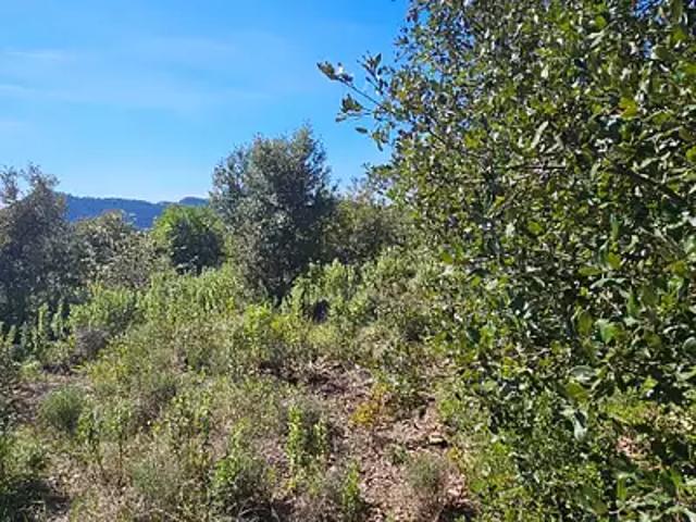 Terrain vente à Arrondissement de Draguignan, Bagnols-en-forêt
