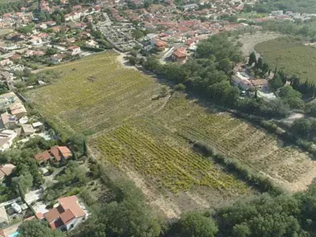 Terrain vente à Céret, Banyuls-dels-aspres