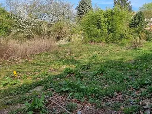 Terrain vente à Rambouillet, Bazoches-sur-guyonne
