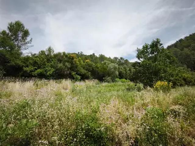 Terrain vente à Arrondissement de Toulon, Belgentier