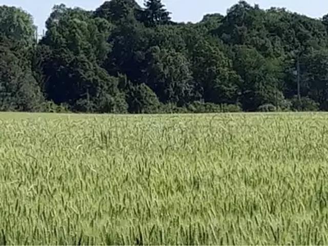 Terrain vente à Boullay-les-Troux, Essonne