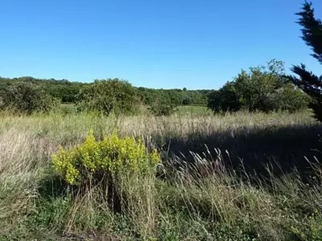 Terrain vente à Montpellier, Bouzigues