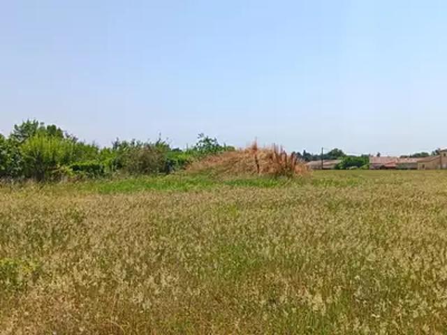 Terrain vente à Albi, Brens