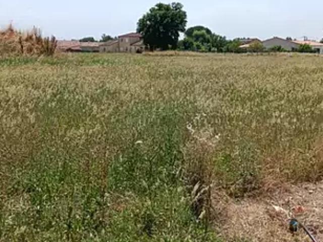 Terrain vente à Albi, Brens