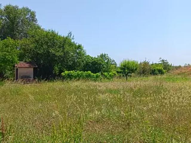 Terrain vente à Albi, Brens
