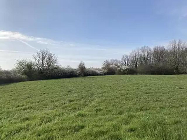 Terrain vente à Toulouse, Buzet-sur-tarn