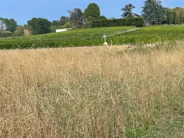 Terrain vente à Camblanes-et-Meynac, Gironde