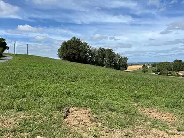 Terrain vente à Albi, Carlus
