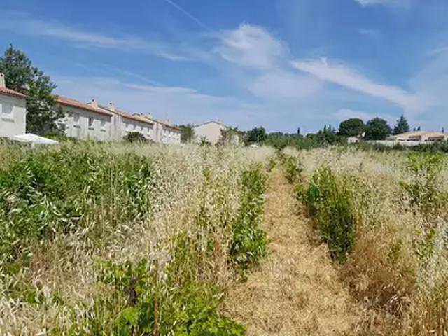 Terrain vente à le Ranquet, Castillon-du-Gard