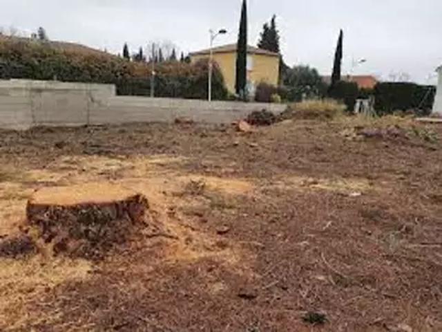 Terrain vente à Bordeaux, Cestas