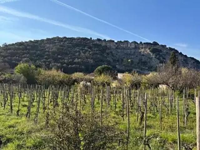 Terrain vente à Tournon-sur-Rhône, Cornas