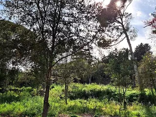 Terrain vente à Montpellier, Cournonsec